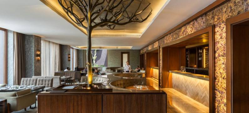 新德里粉红酒店(The Roseate)图片