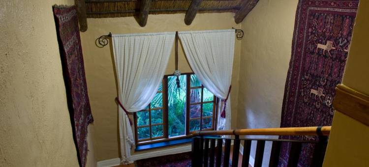 威特旅馆(De Witt'e Guest House)图片