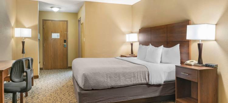 凯艺套房酒店(Quality Inn & Suites)图片