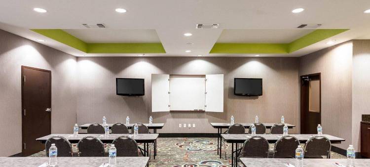 格林维尔舒适套房酒店(Comfort Suites Greenville)图片