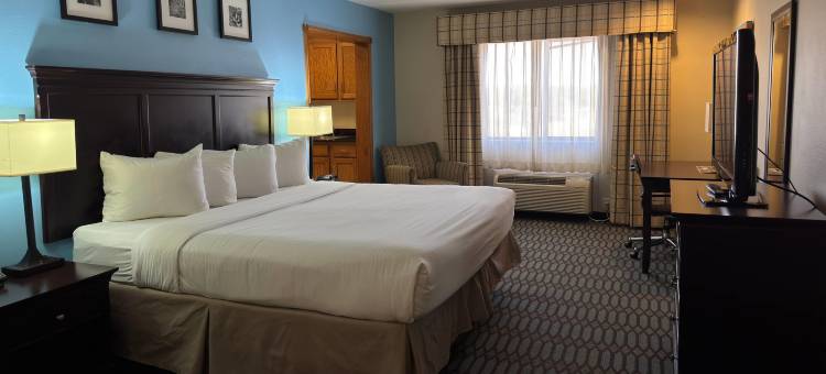拉伯克南温德姆温盖特酒店(Wingate by Wyndham Lubbock TX South)图片