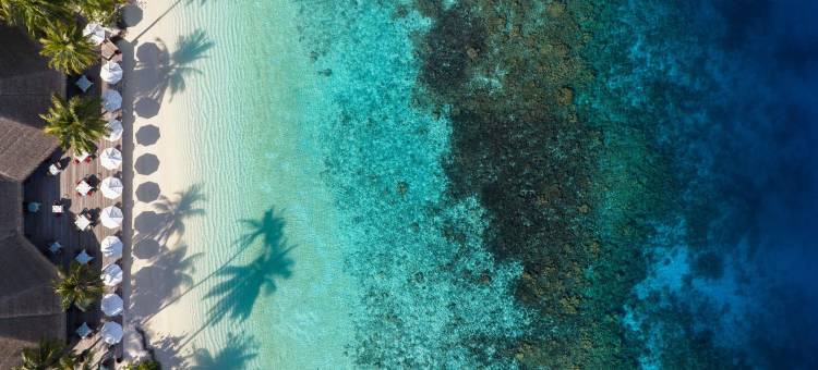 马尔代夫美憬阁米里希V别墅(V Villas Maldives at Mirihi - MGallery Collection)图片