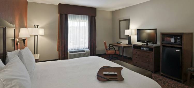 马塔莫拉斯欢朋酒店(Hampton Inn Matamoras/Milford)图片