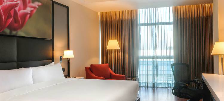 利马苏尔希尔顿花园酒店(Hilton Garden Inn Lima Surco)图片