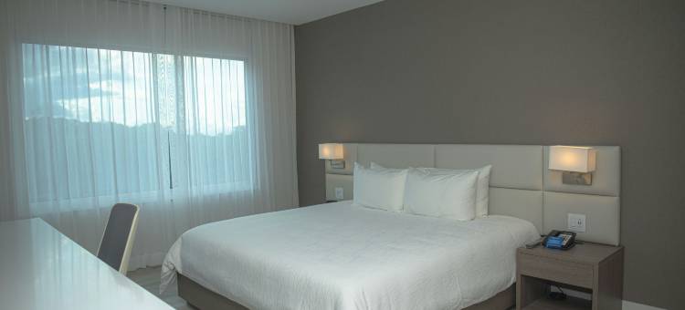希尔顿花园酒店圣安娜圣何塞(Hilton Garden Inn Santa Ana San Jose)图片