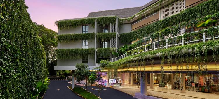 巴厘岛库塔 Beachwalk 购物中心雅乐轩酒店(Aloft by Marriott Bali Kuta at Beachwalk)图片