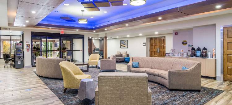 舒适酒店及套房(Comfort Inn & Suites)图片