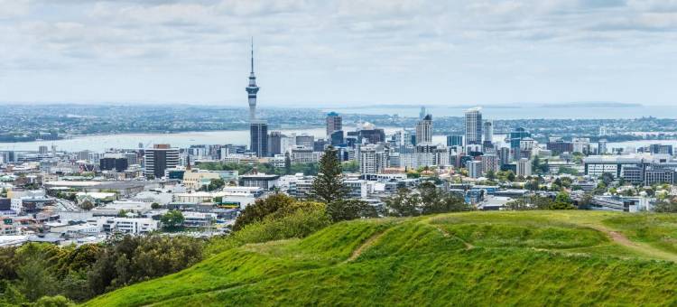 机场奇异果酒店(Auckland Airport Kiwi Hotel)图片