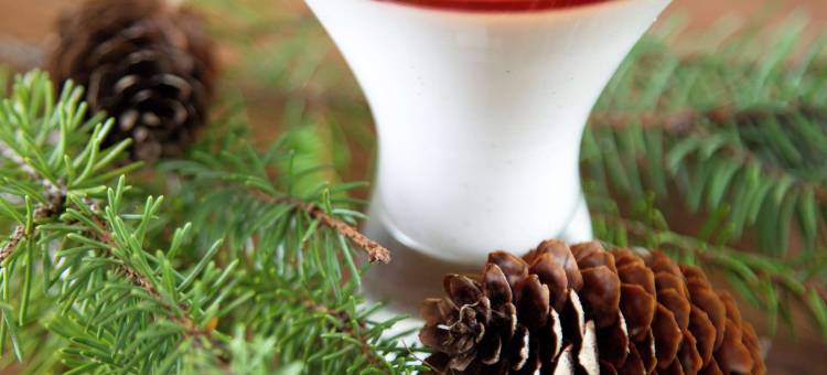 莫斯科新里加希尔顿花园酒店(Hilton Garden Inn Moscow New Riga)图片