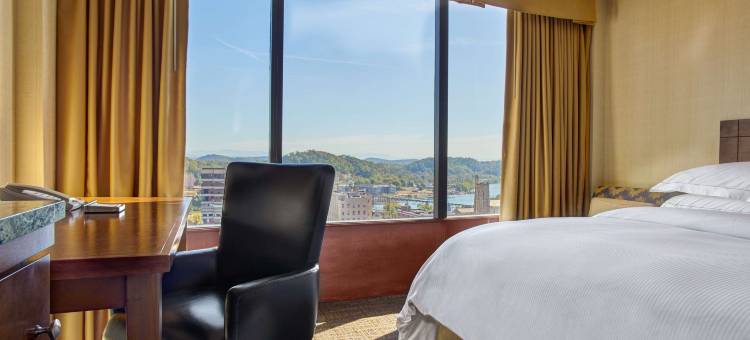 诺克斯维尔希尔顿酒店(Hilton Knoxville)图片