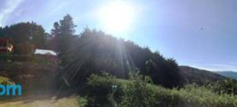 金塔双桅渔船旅馆(Quinta Galeon Lodge)图片