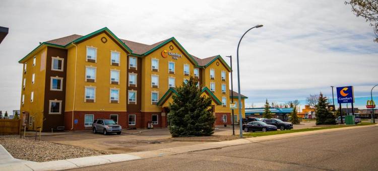 舒适酒店(Comfort Inn)图片