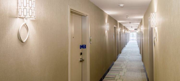 Home2 Suites希尔顿孟菲斯东日耳曼敦分店(Home2 Suites by Hilton Memphis East Germantown)图片