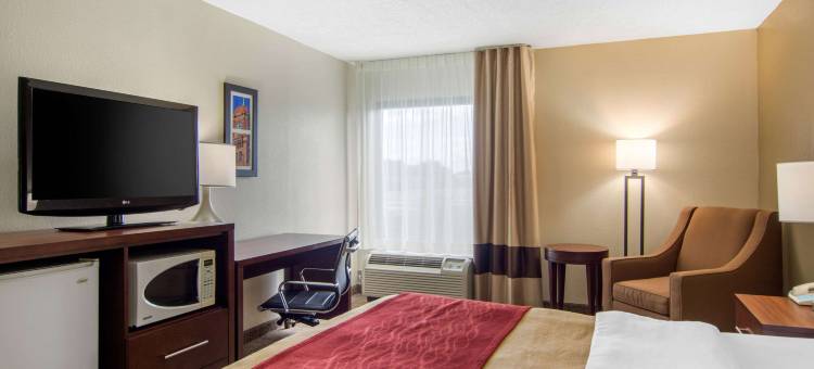 里士满南切斯特舒适酒店(Comfort Inn Chester - Richmond South)图片