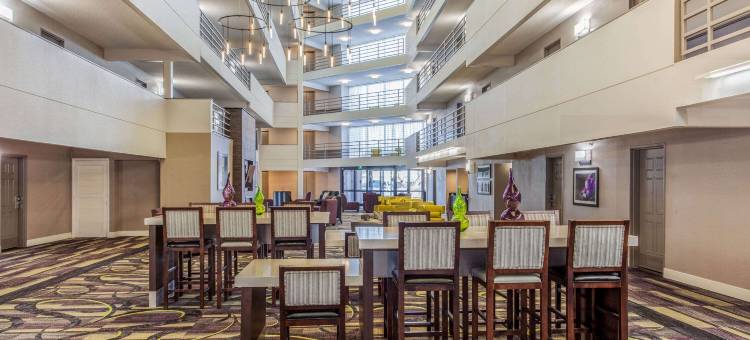 拉伯克西医疗中心拉昆塔温德姆套房酒店(La Quinta Inn & Suites by Wyndham Lubbock West Medical Centr)图片