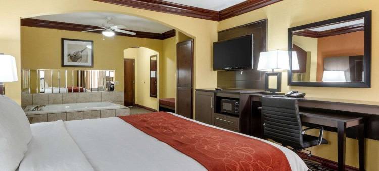 克鲁特杰克森湖舒适全套房酒店(Comfort Suites Lake Jackson Clute)图片