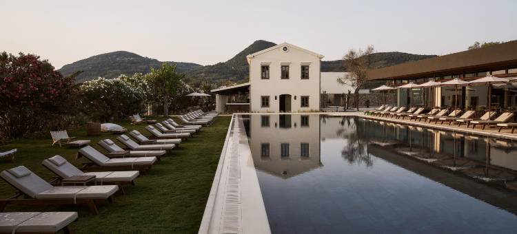 奥利瓦套房酒店(The Olivar Suites)图片