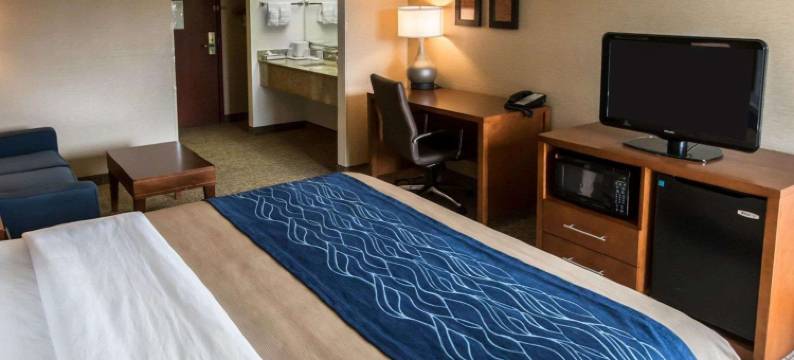 克里斯特尔莱克-阿尔冈金舒适酒店(Comfort Inn Crystal Lake - Algonquin)图片