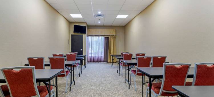 金斯波特南舒适套房酒店(Comfort Suites)图片