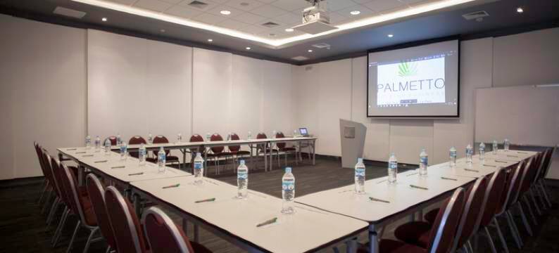 圣米格尔帕尔梅托商务酒店(Palmetto Hotel Business San Miguel)图片