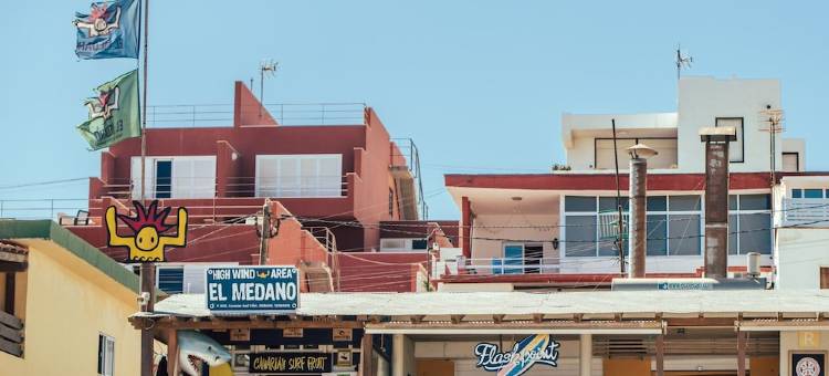 洛斯阿米戈斯巢旅舍(Los Amigos Nest Hostel)图片