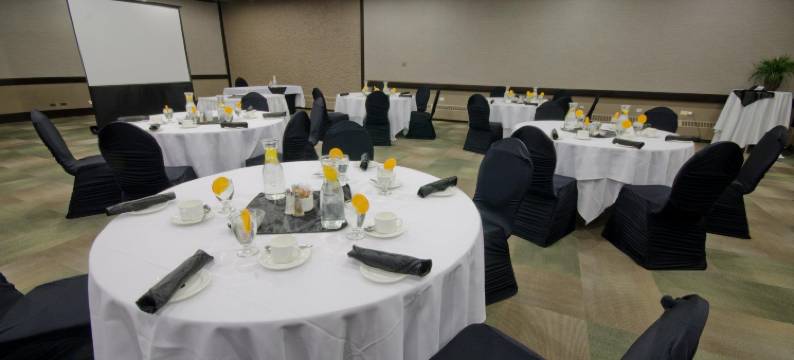 温尼伯市中心丽笙酒店(Radisson Hotel Winnipeg Downtown)图片