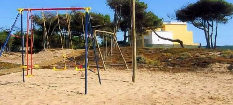 WOT 松林海魂(WOT PinhalMar Soul)图片