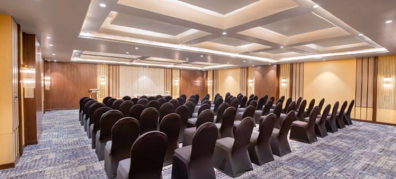 达拉姆沙拉丽笙度假酒店(Radisson Blu Resort Dharamshala)图片