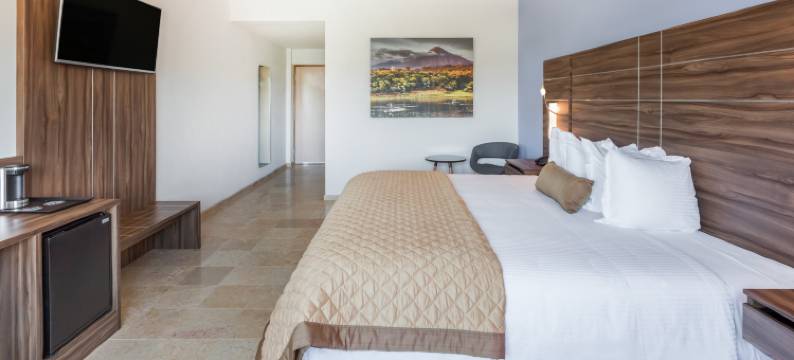 科利花园酒店(Gamma Colima Garden)图片