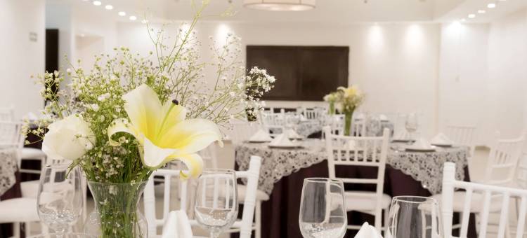 托雷翁米西翁酒店(Mision Torreon)图片