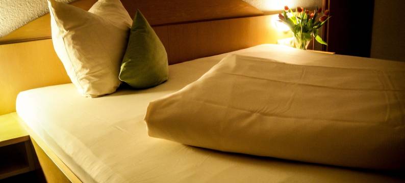 库弗尔辛克酒店(Hotel Küferschänke)图片