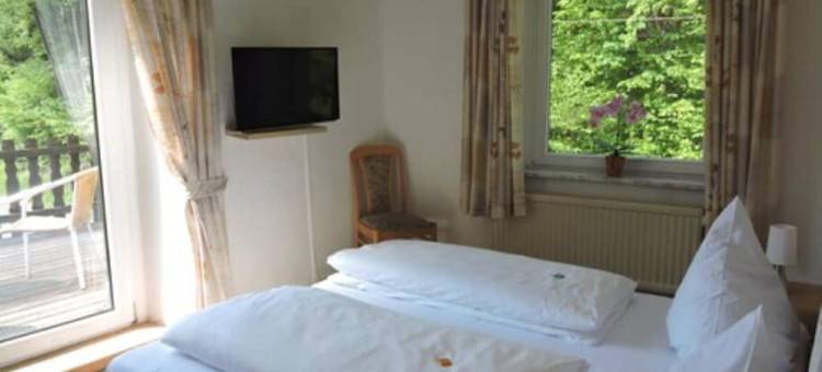 贝尔吉施瑞士酒店(Hotel Bergische Schweiz)图片