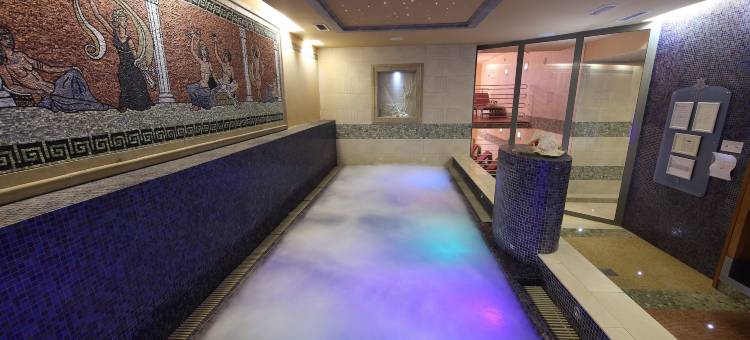 哈莱图酒店 - 圣西蒙度假村(Hotel Haliaetum - San Simon Resort)图片