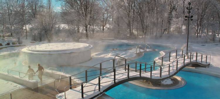 伯恩巴霍赫贝斯特韦斯特公寓式酒店(Best Western Aparthotel Birnbachhoehe)图片