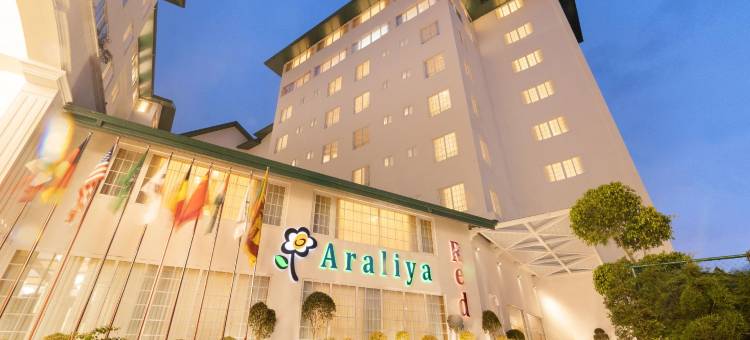 阿拉利亚雷德酒店-努沃勒埃利耶(Araliya Red - Budget Friendly - Where You Find Stunning 360 Panoramic View of Nuwara Eliya)图片