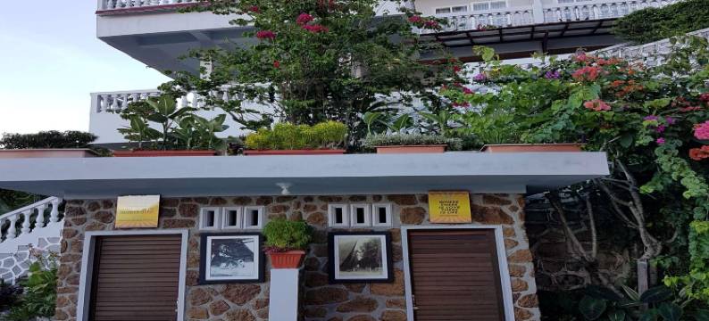 巴拉巴特风景酒店(Parapat View Hotel)图片