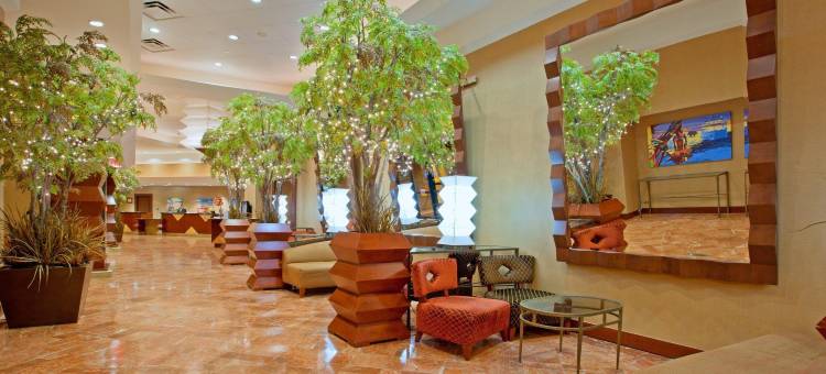 Crowne Plaza 休斯顿橡树河(Crowne Plaza HOUSTON MED CTR-GALLERIA AREA by IHG)图片
