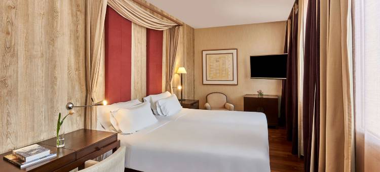 布尔戈斯宫NH典藏酒店(NH Collection Palacio Burgos)图片