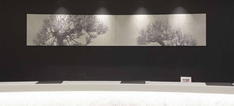 北海道函馆站前柔婕阁酒店(La'Gent Stay Hakodate Ekimae)图片