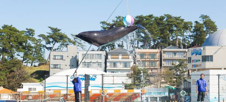 福井站前京福酒店(Hotel Keifuku Fukui Ekimae)图片