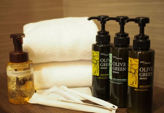 HOTEL MYSTAYS Iidabashi (Old name：Flexstay Inn Iidabashi) Hotel Overview