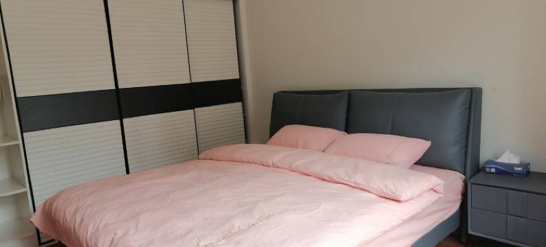 湖畔山公寓(锦湖大道分店)图片