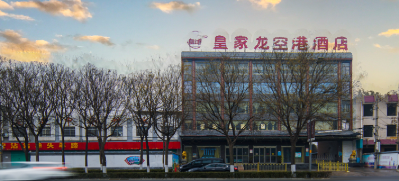 西安皇家龙空港酒店图片