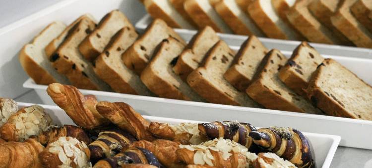 悉尼百老汇 BREAKFREE 酒店(BreakFree on Broadway Sydney)图片