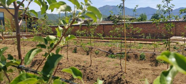 泸沽湖星辰山景别院图片