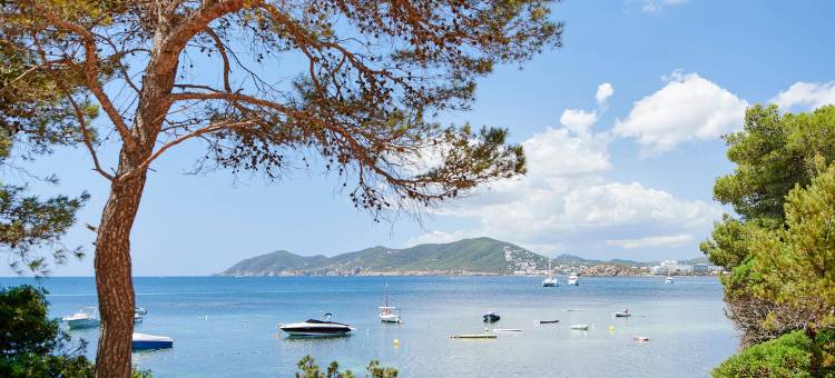 圣欧拉利亚伊波罗之星精选酒店(Iberostar Selection Santa Eulalia Ibiza - Adults Only)图片
