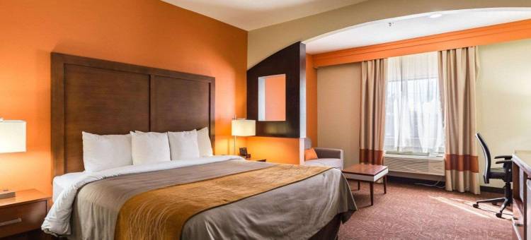 东休斯顿I-10伊克诺套房酒店(Econo Lodge Inn & Suites East Houston I-10)图片