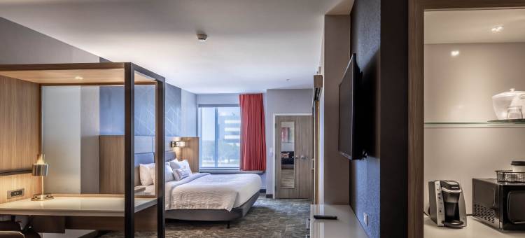 达拉斯中央高速公路SpringHill Suites酒店(SpringHill Suites Dallas Central Expressway)图片