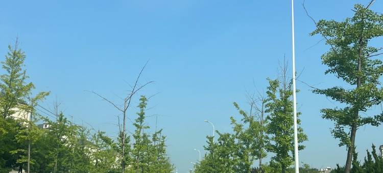 房东别屋度假别墅(武夷路分店)图片