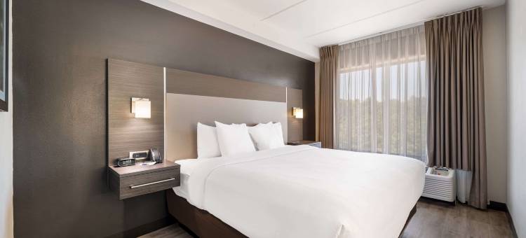 北湖舒适套房酒店(Comfort Suites Northlake)图片